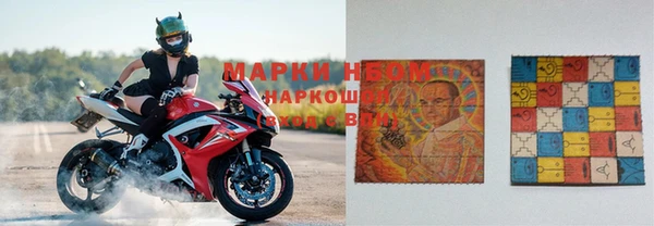 хмурый Михайловск