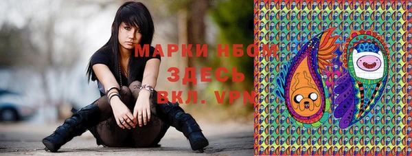 хмурый Михайловск