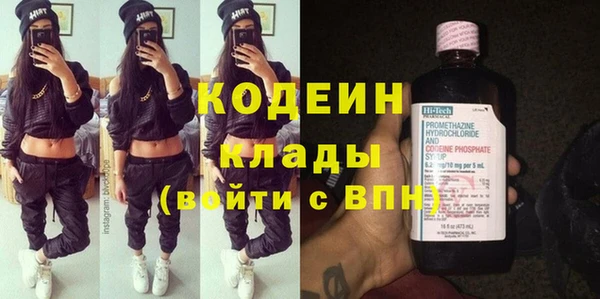 хмурый Михайловск