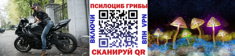 МЕГА онион  Ивангород  Псилоцибиновые грибы Psilocybine cubensis 